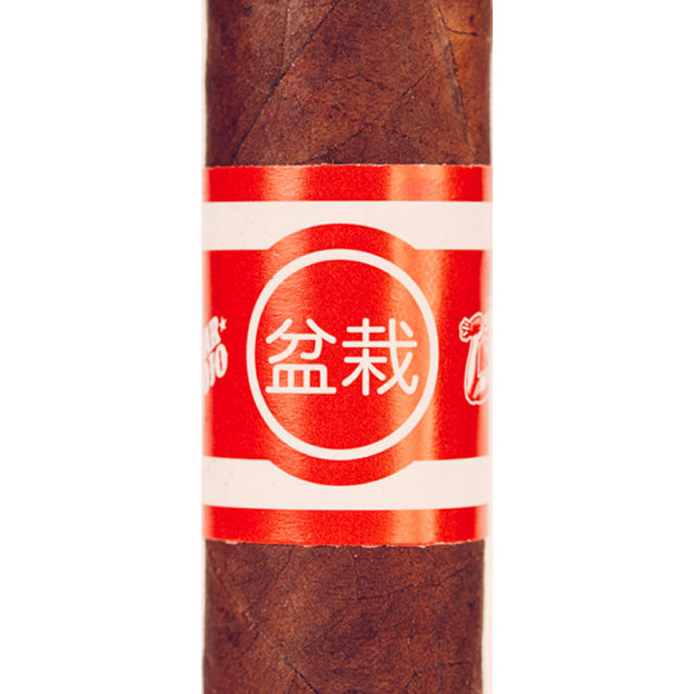 Bonsai Cigar